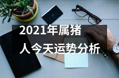 2025年属猪人今天运势分析