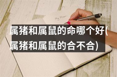 属猪和属鼠的命哪个好(属猪和属鼠的合不合)