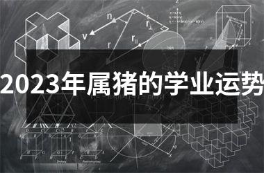 2025年属猪的学业运势