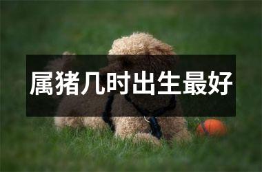 属猪几时出生好