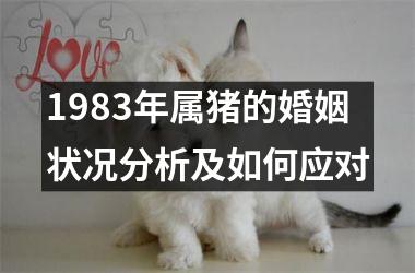 1983年属猪的婚姻状况分析及如何应对