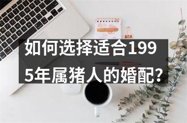 如何选择适合1995年属猪人的婚配？