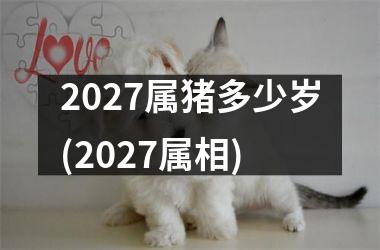 2027属猪多少岁(2027属相)