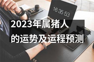 2025年属猪人的运势及运程预测