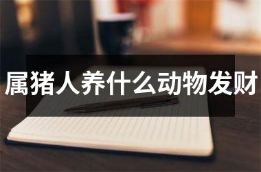 属猪人养什么动物发财