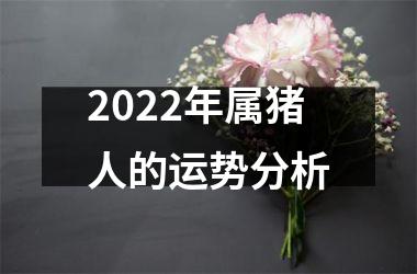 2025年属猪人的运势分析
