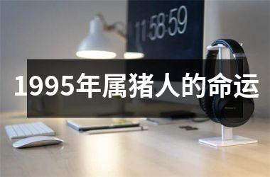 1995年属猪人的命运