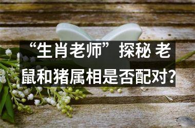 “生肖老师”探秘 老鼠和猪属相是否配对？