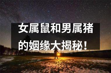 女属鼠和男属猪的姻缘大揭秘！