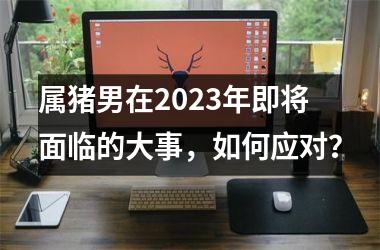 属猪男在2025年即将面临的大事，如何应对？