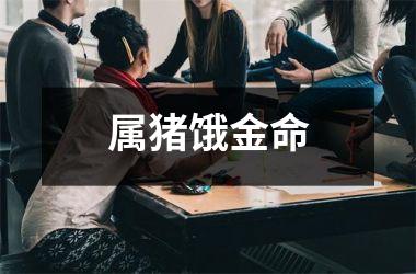 <h3>属猪饿金命