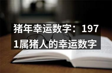 猪年幸运数字：1971属猪人的幸运数字