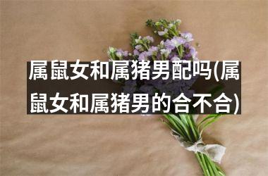 属鼠女和属猪男配吗(属鼠女和属猪男的合不合)