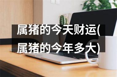 属猪的今天财运(属猪的今年多大)