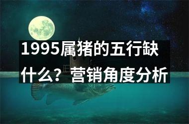 <h3>1995属猪的五行缺什么？营销角度分析