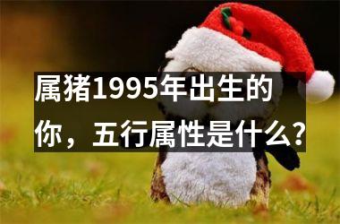 属猪1995年出生的你，五行属性是什么？