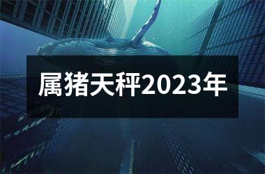 属猪天秤2025年