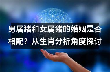 男属猪和女属猪的婚姻是否相配？从生肖分析角度探讨