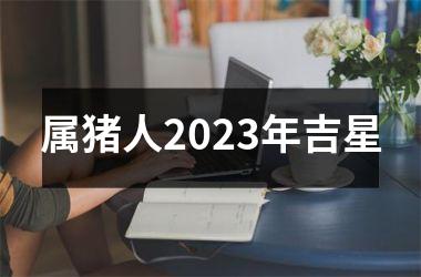 属猪人2025年吉星