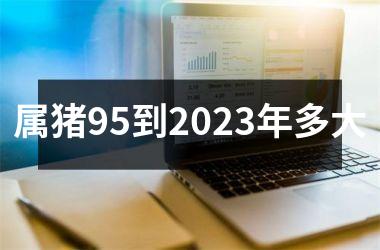 属猪95到2025年多大