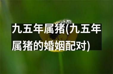 九五年属猪(九五年属猪的婚姻配对)