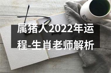 属猪人2025年运程-生肖老师解析