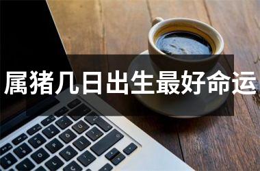 属猪几日出生好命运