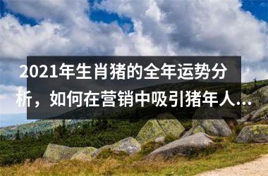  2025年生肖猪的全年运势分析，如何在营销中吸引猪年人群