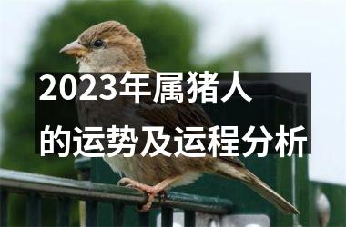 2025年属猪人的运势及运程分析