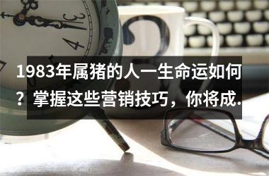 1983年属猪的人一生命运如何？掌握这些营销技巧，你将成为更成功的营销人
