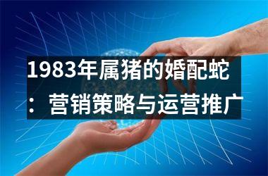 1983年属猪的婚配蛇：营销策略与运营推广