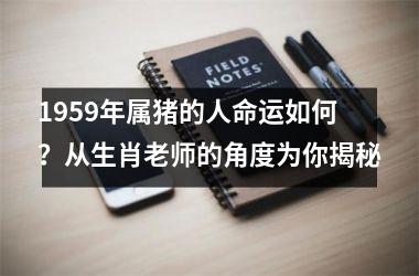 1959年属猪的人命运如何？从生肖老师的角度为你揭秘