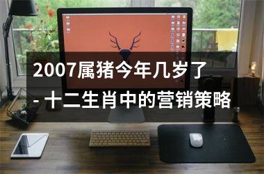 2007属猪今年几岁了 - 十二生肖中的营销策略