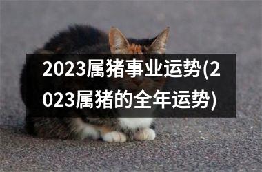 2025属猪事业运势(2025属猪的全年运势)