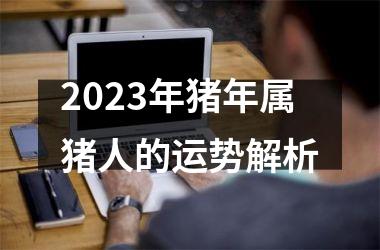 2025年猪年属猪人的运势解析