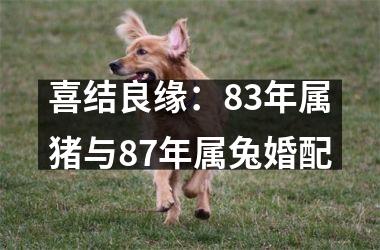喜结良缘：83年属猪与87年属兔婚配
