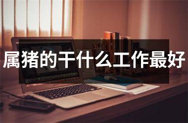 属猪的干什么工作好