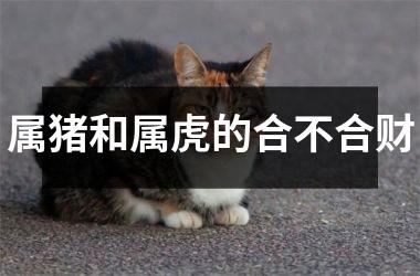 属猪和属虎的合不合财