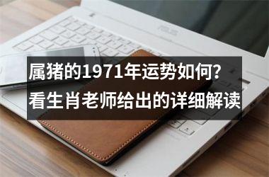 属猪的1971年运势如何？看生肖老师给出的详细解读