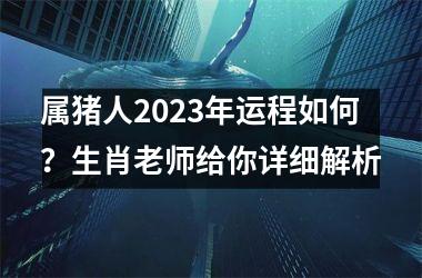 属猪人2025年运程如何？生肖老师给你详细解析