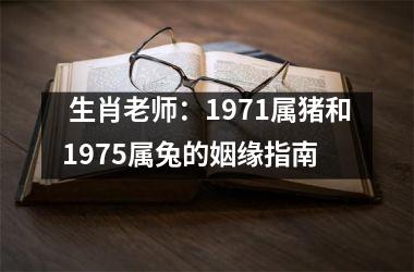 <h3> 生肖老师：1971属猪和1975属兔的姻缘指南