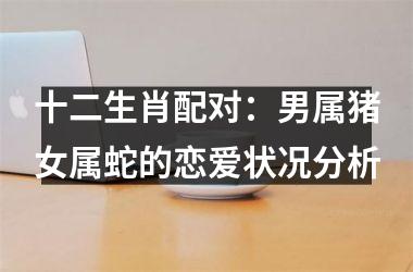 十二生肖配对：男属猪女属蛇的恋爱状况分析