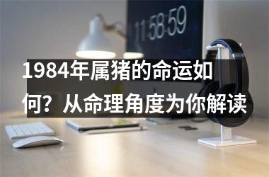 1984年属猪的命运如何？从命理角度为你解读