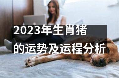 2025年生肖猪的运势及运程分析