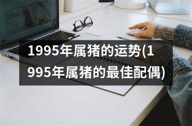 1995年属猪的运势(1995年属猪的佳配偶)