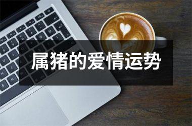 属猪的爱情运势