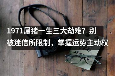 1971属猪一生三大劫难？别被迷信所限制，掌握运势主动权