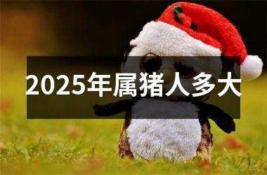 2025年属猪人多大