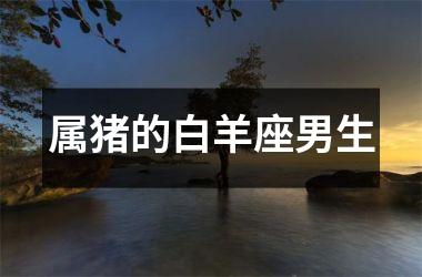 属猪的白羊座男生