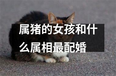 属猪的女孩和什么属相配婚